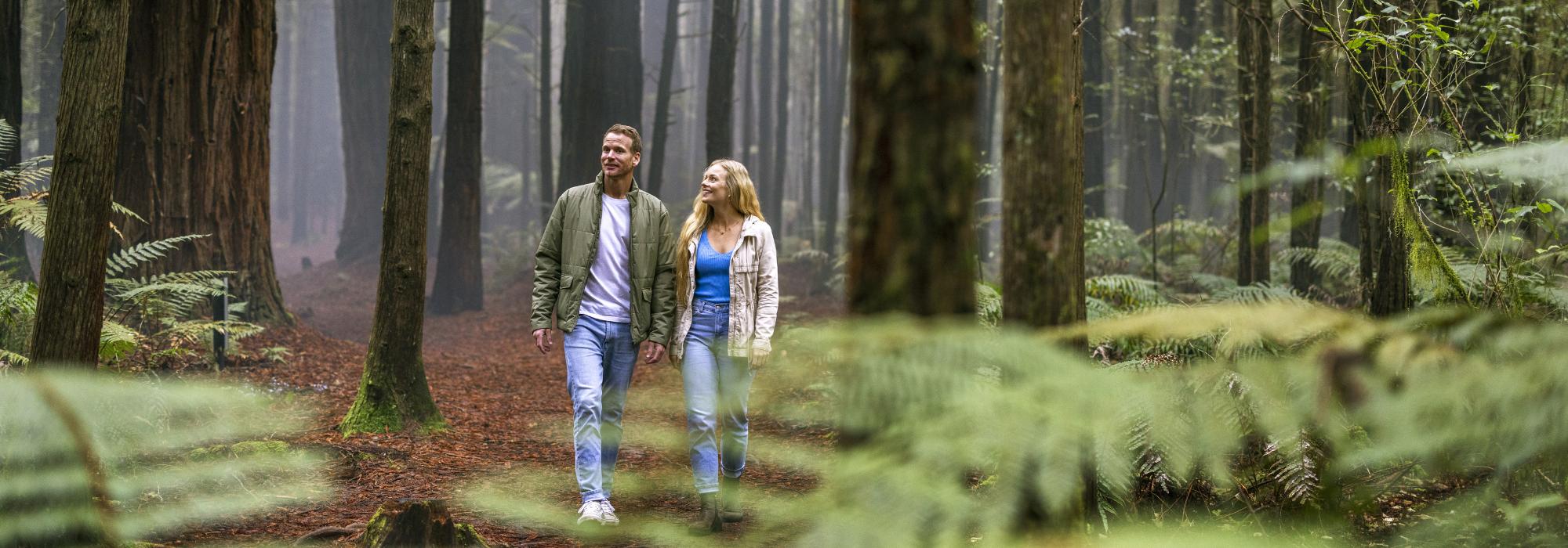 Free things to do in Rotorua Rotorua NZ